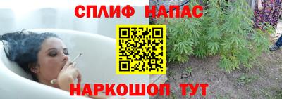 прущие грибы Краснодар