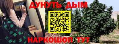 прущие грибы Краснодар