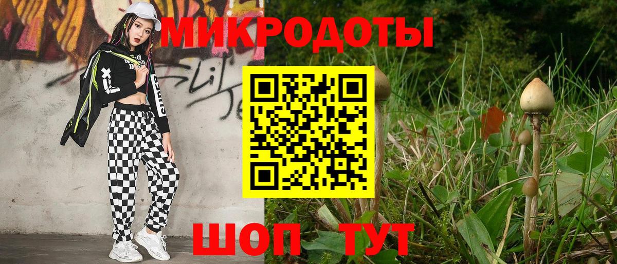 Псилоцибиновые грибы Cubensis  Вход с VPN  Ивантеевка  Псилоцибиновые грибы мухоморы 