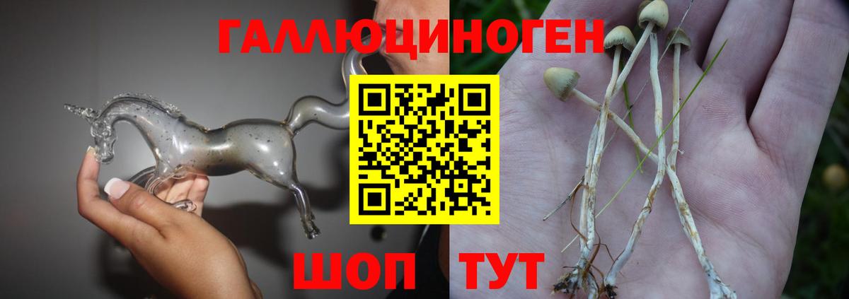 Галлюциногенные грибы Psilocybine cubensis Ивантеевка